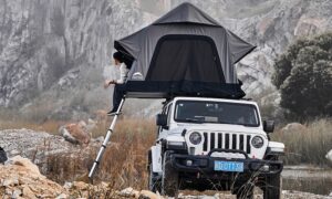 WildLand Air Cruiser - Görsel 2