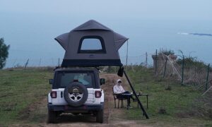 WildLand Air Cruiser - Görsel 3