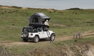 WildLand Air Cruiser - Görsel 4