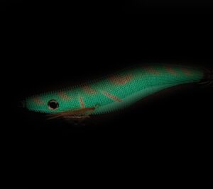 Captain Kalamar Zokası Crazy Glow Deri Kaplama #3.5 - Görsel 3